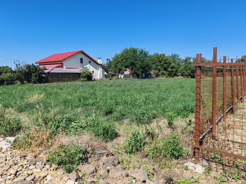 Boteni, Sinesti